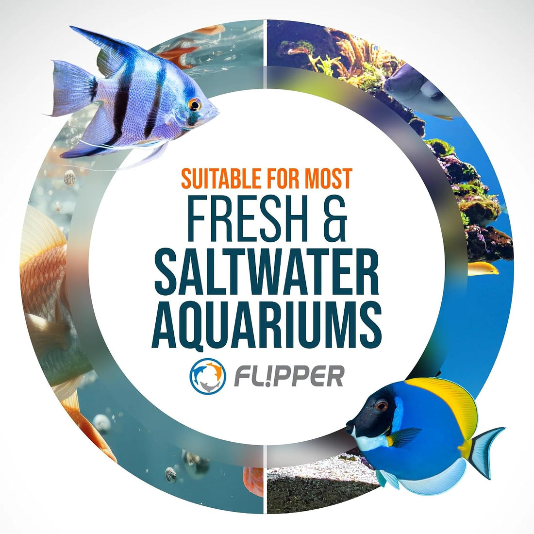 Flipper Platinum Aquarium Algae Scraper for Glass & Acrylic 28" Shaft