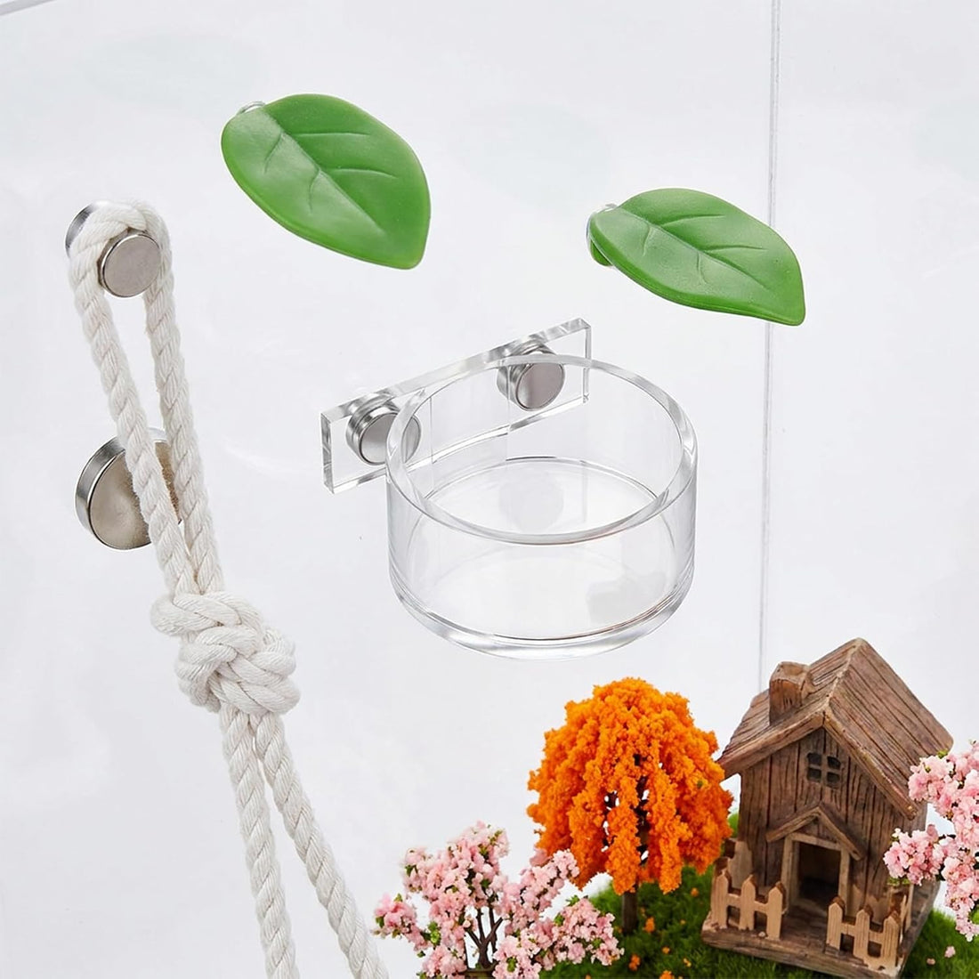 Jumping Spider Feeding Dish Set, Water Bowl with Tweezer