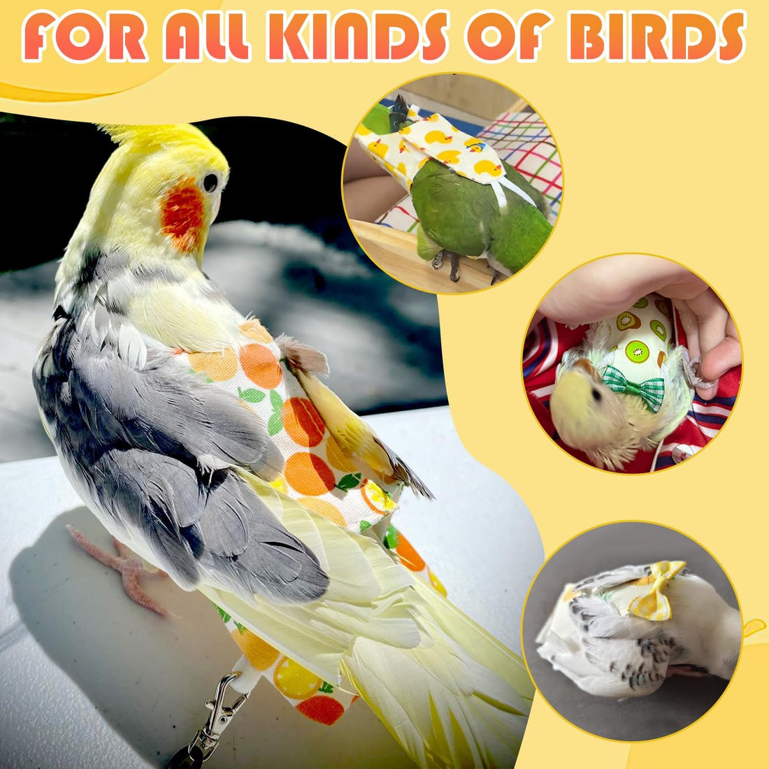 6 Pcs Bird Diapers FAURAPMNG Parrot Nappy Flight Suit Reusable
