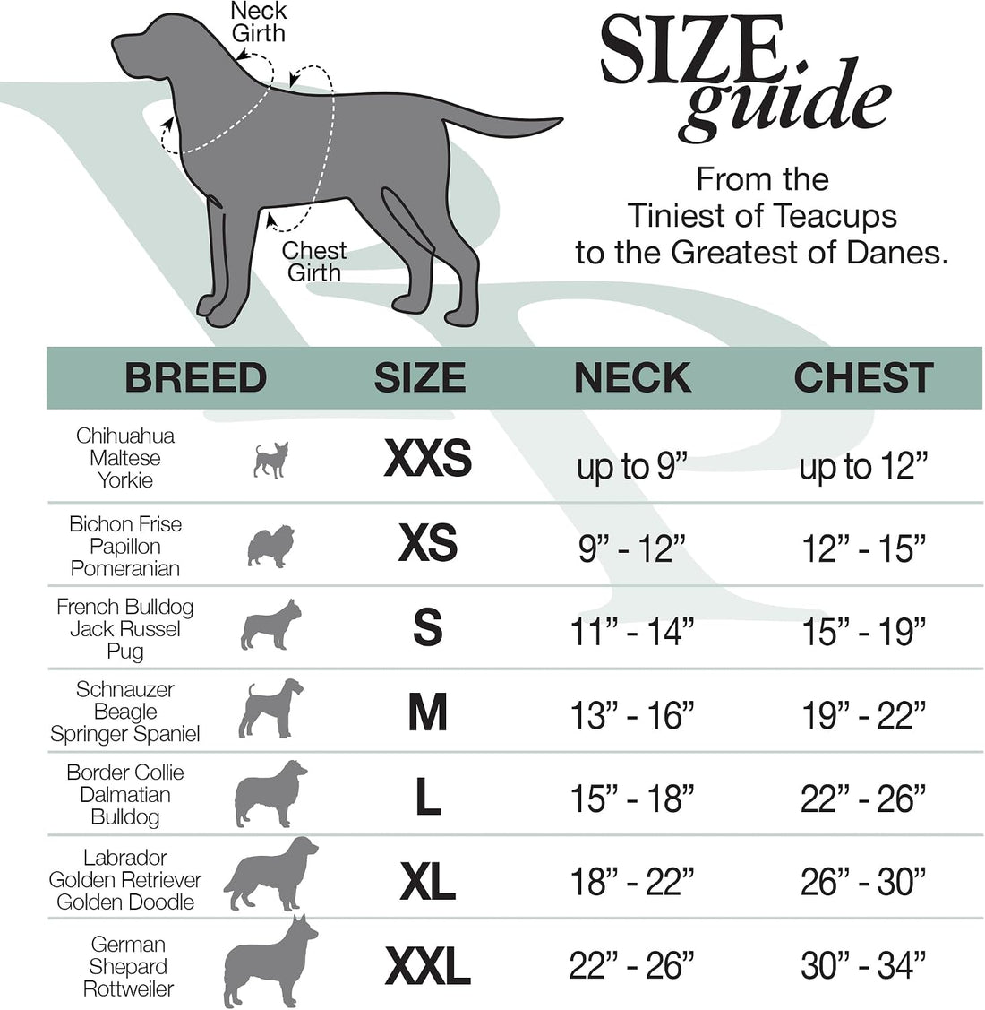 Pet Passion Cooper II Dog Hoodie, Sage, Large