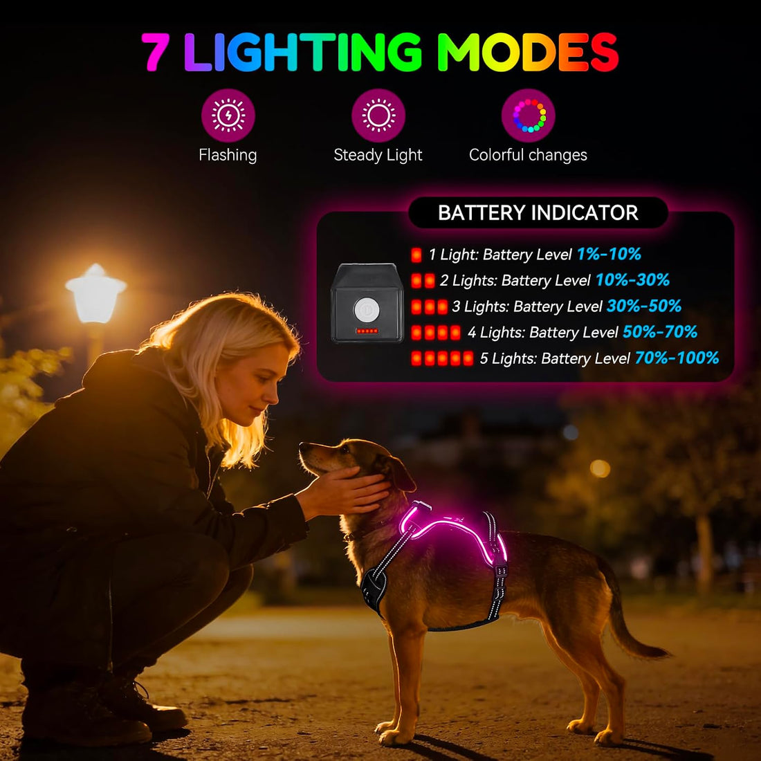 Light Up Dog Harness, LED Rechargeable Safety Dog Harness for Night