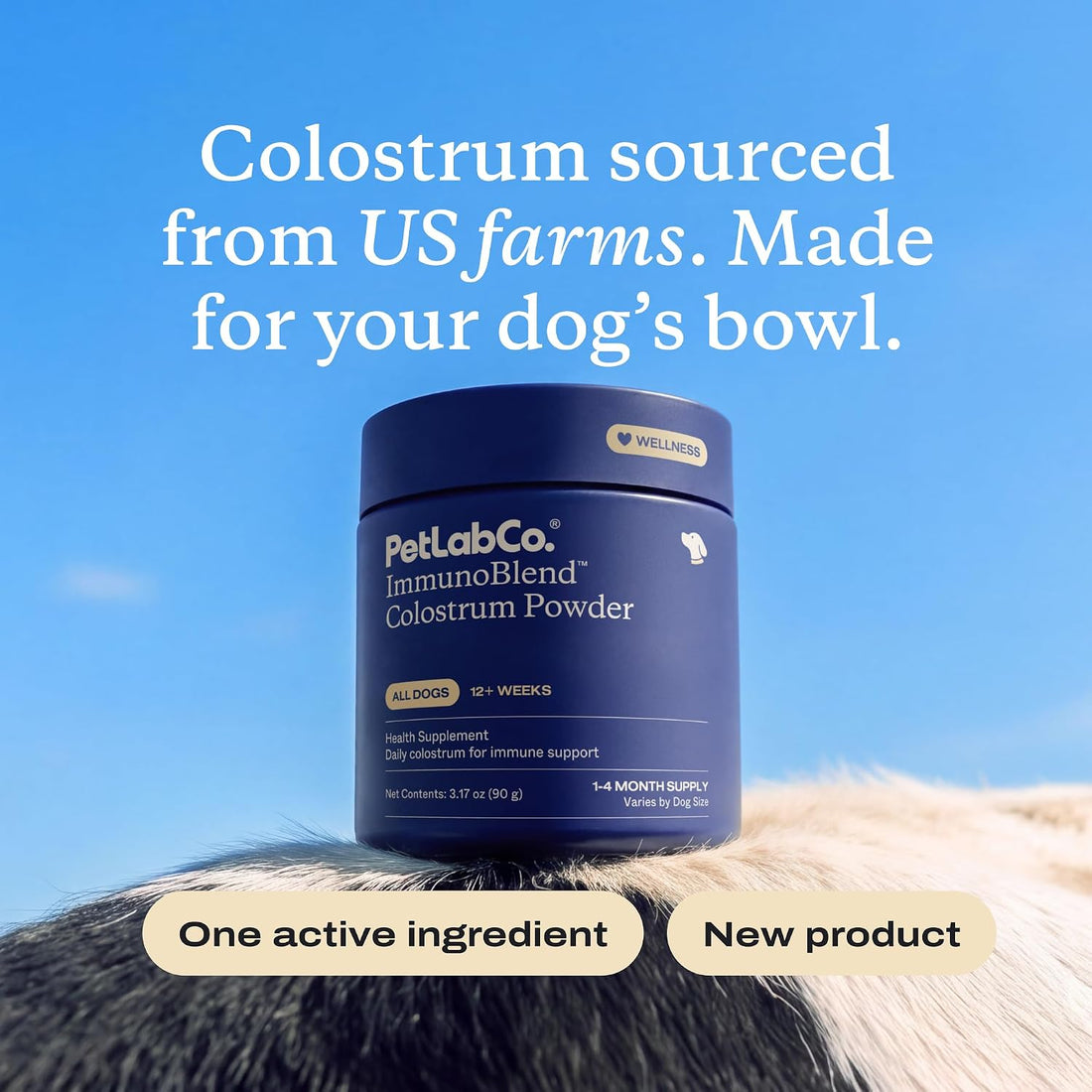 PetLab Co. ImmunoBlend Bovine Colostrum Powder for Dogs