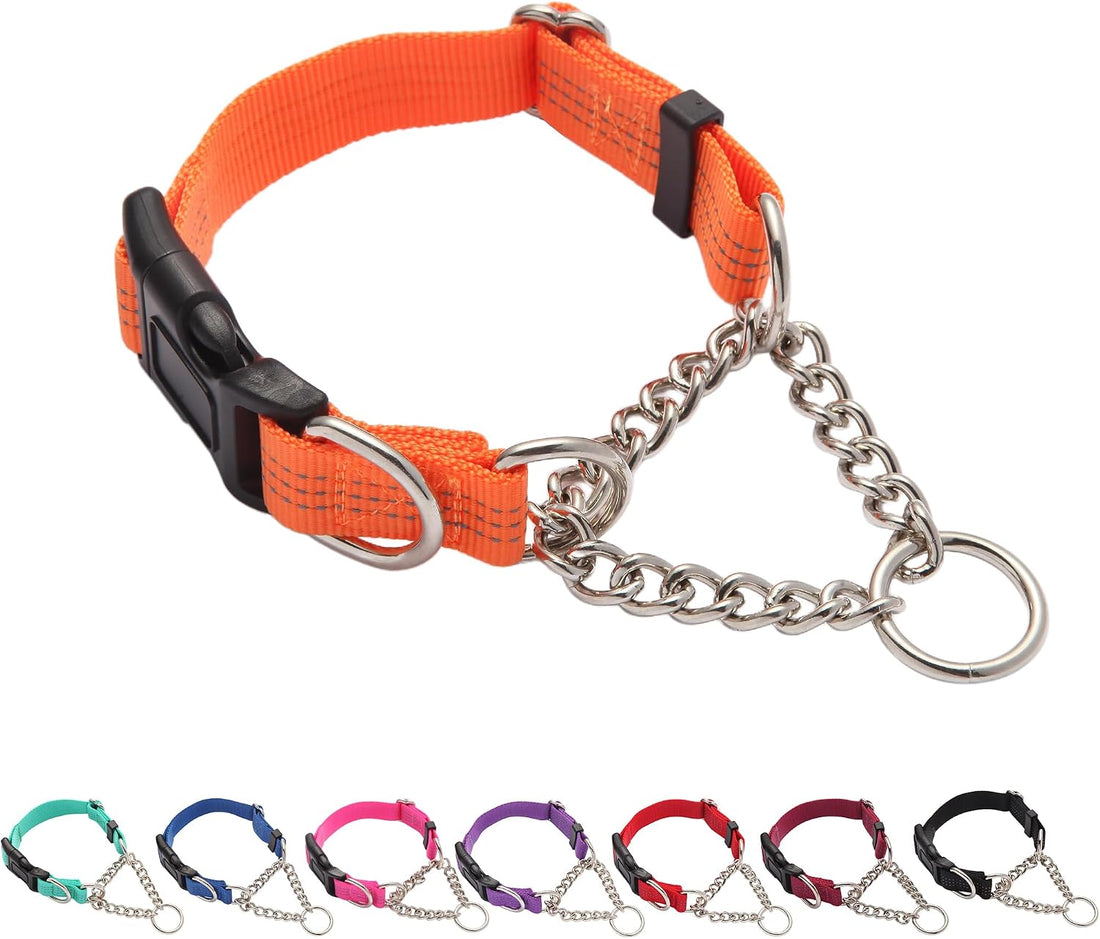 Martingale Collar for Dogs,Escape Proof No Pull, Teal, Large