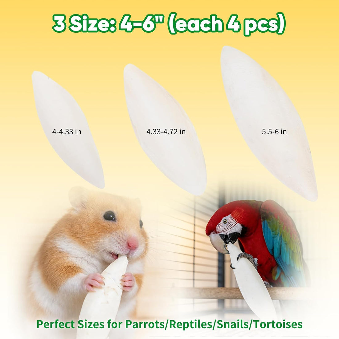 Amzey 12 Pack Cuttlebone for Birds