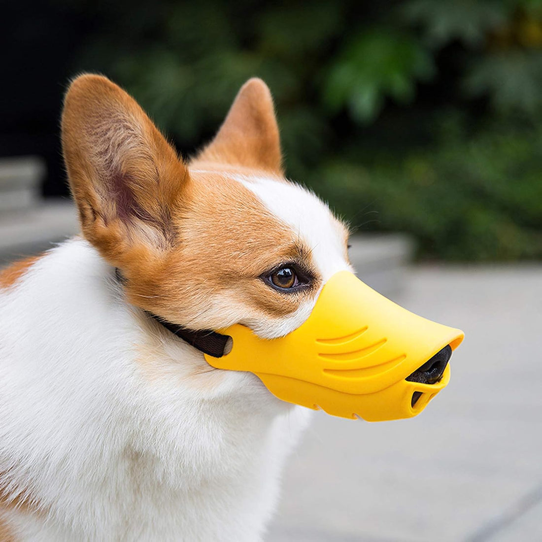 LUCKYPAW Soft Duck Silicone Dog Muzzle for Small Medium Dogs Poodle