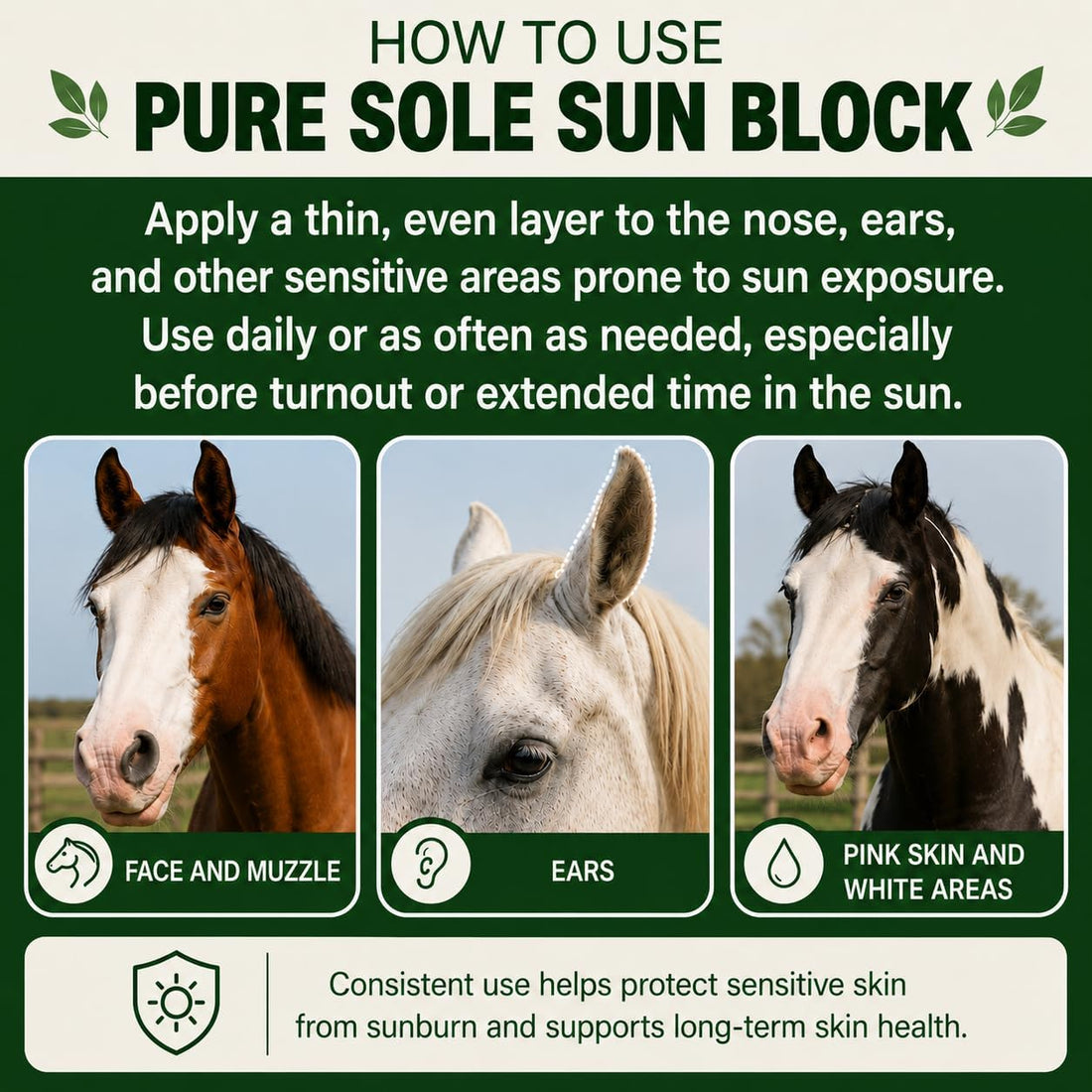 Horse Skin Summer Protection Bundle