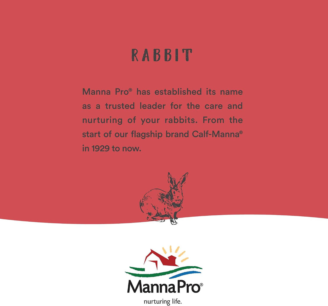 Manna Pro Hen Healer Multi-Purpose Ointment | Helps Support Healing