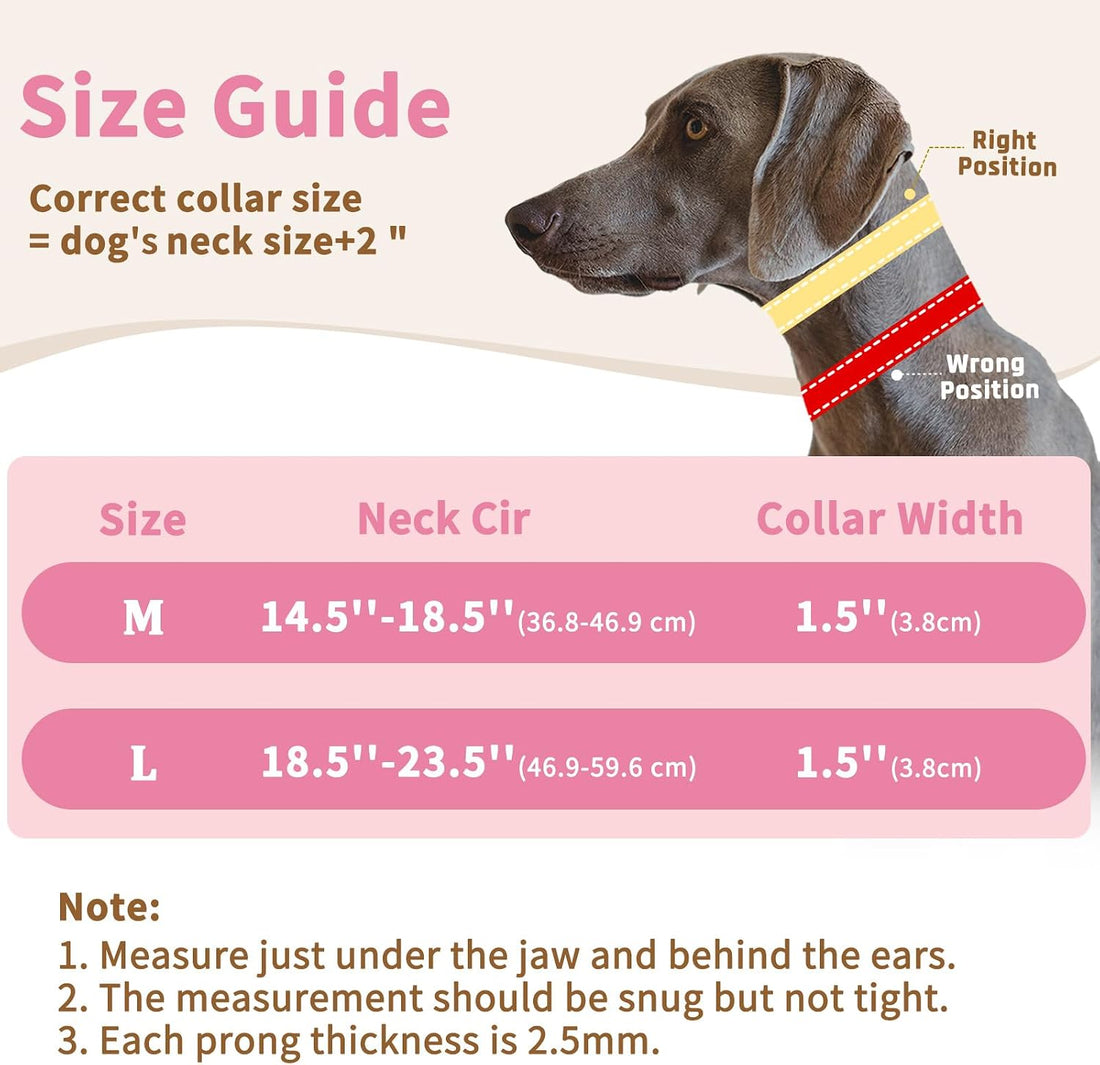 Mayerzon Martingale Dog Training Walking Collar for Pulling | Hot Pink