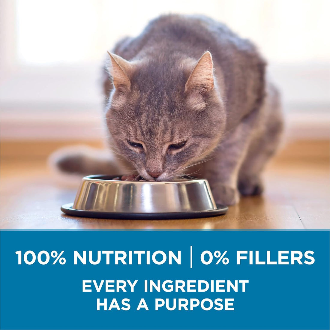 Purina ONE Indoor Advantage Senior Dry Cat Food, High Protein