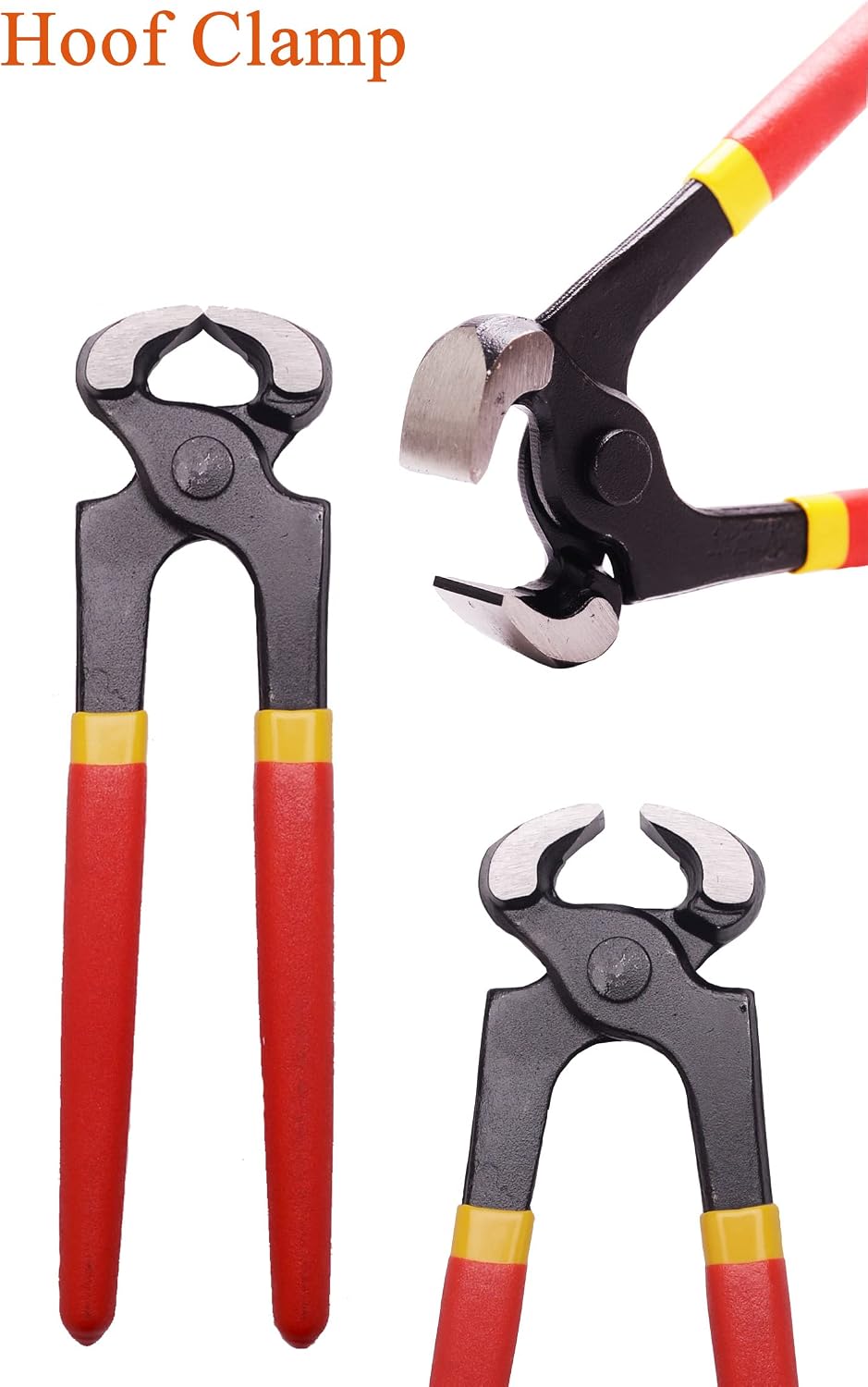 8 inch Farrier Tool Kits （7 Piece） Mini Rasp Hoof File Goat Pig