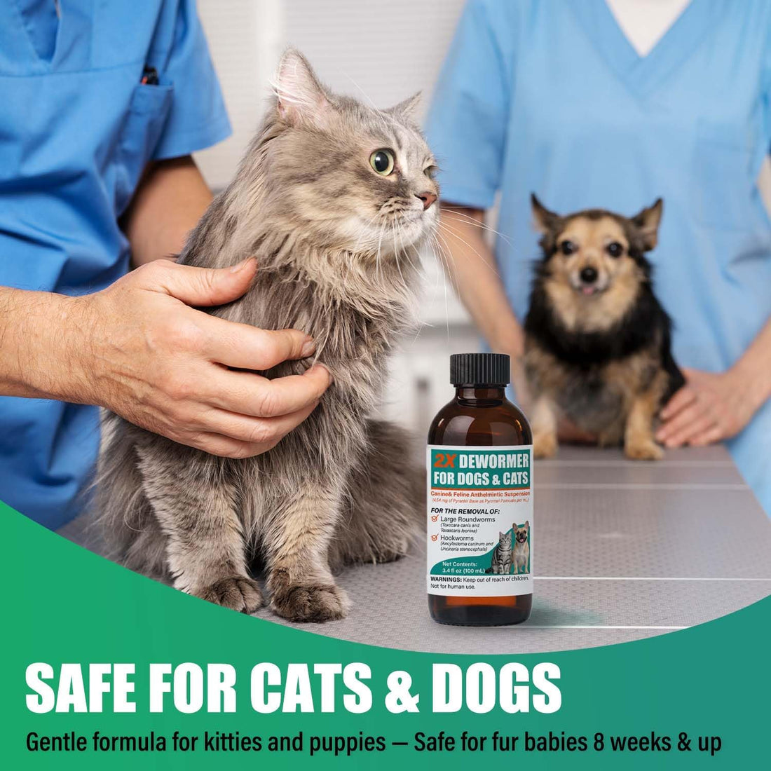 Liquid Dewormer 2X for Dogs & Cats