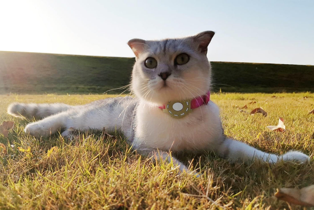 WHALEZON Cat Collar Holder for Airtag