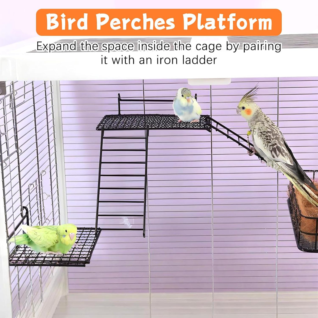 BNOSDM Stainless Steel Grid Platform for Parakeet 4 PCS Bird Perches