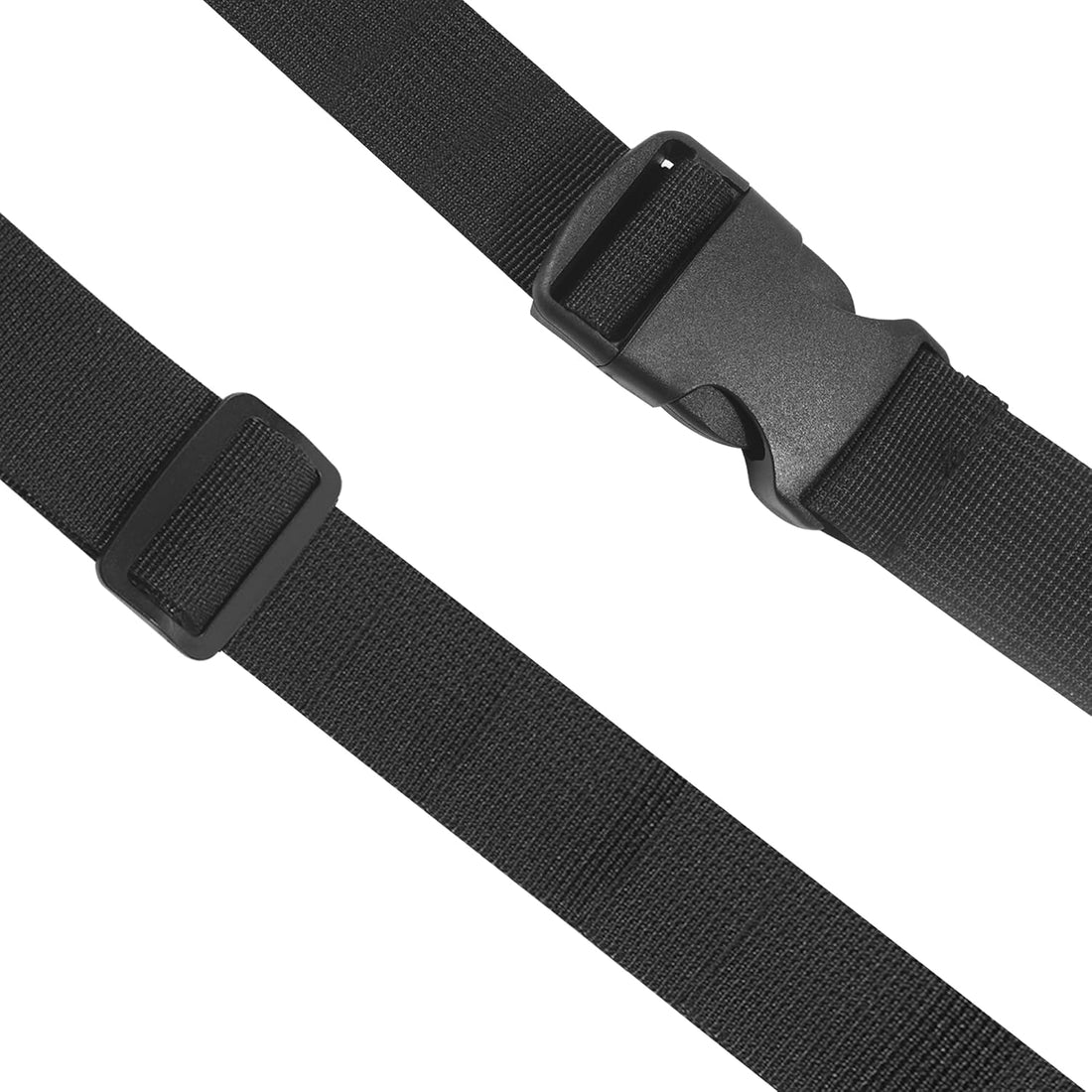 Bearded Dragon Leash and Harness Set, Beardie Carrier