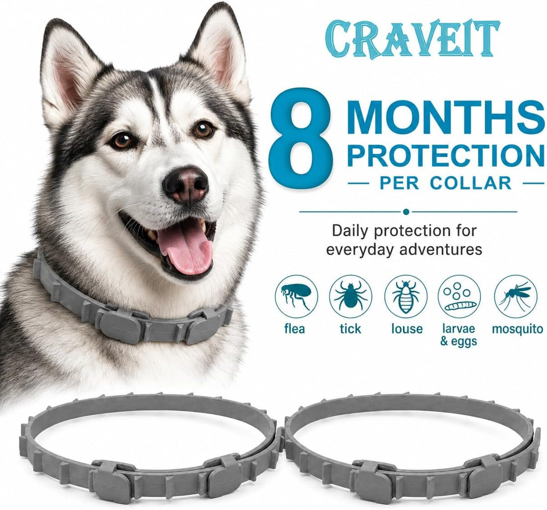 Craveit Flea and Tick Collar for Dogs, 2 Pack, Large Dogs Over 18 lbs