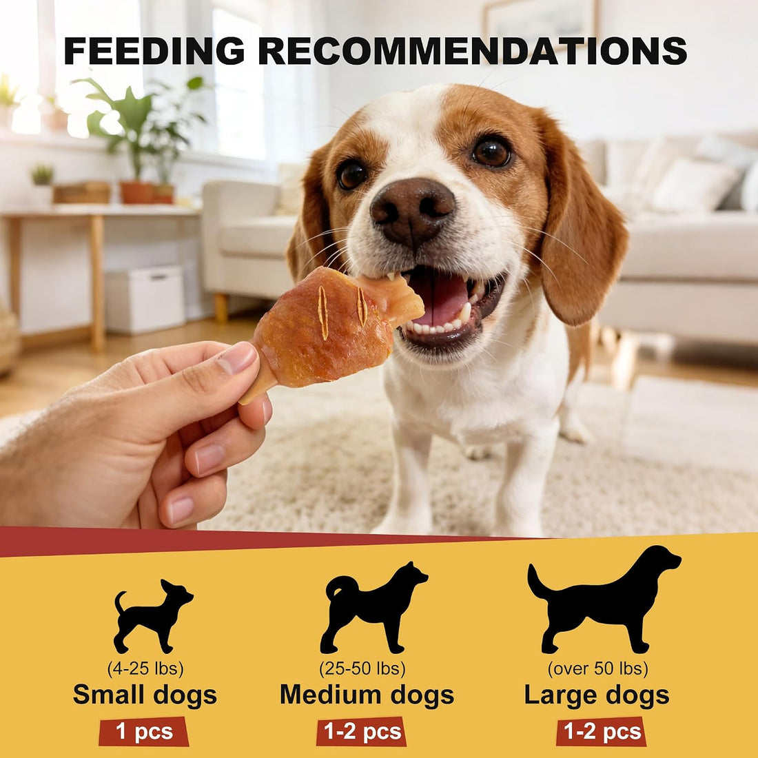 PETPHABET Rawhide Free Dog Chew Bones, Grilled Pork Hock, 12 Count