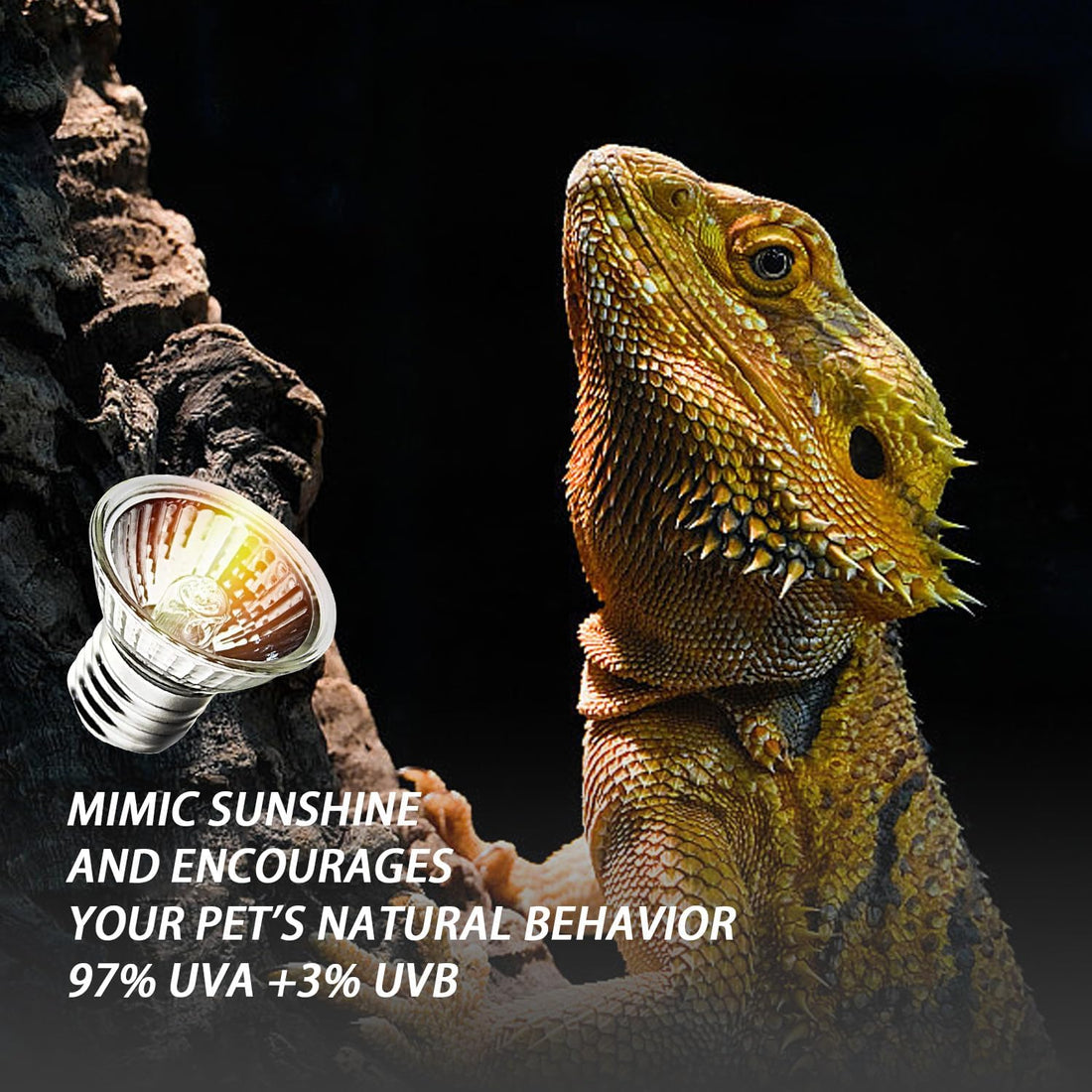 2-Pack 50W UVA Bulbs, Light Turtle Heat Lamp for Reptiles