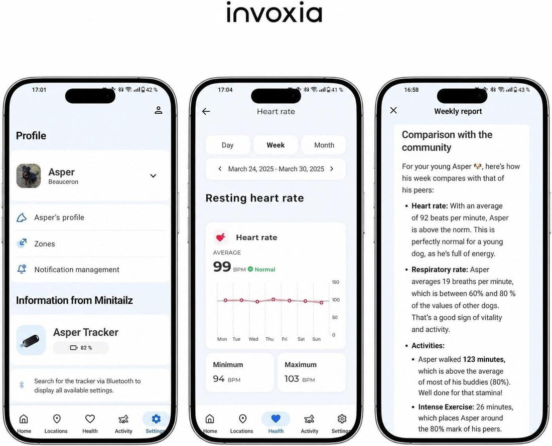 Invoxia Biotracker 2026 Edition - Health and GPS Tracker for Dogs