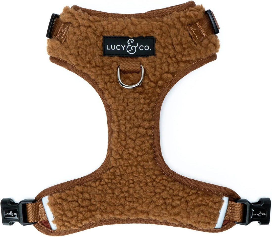 Lucy & Co. Cute No-Pull Cinnamon Teddy Harness