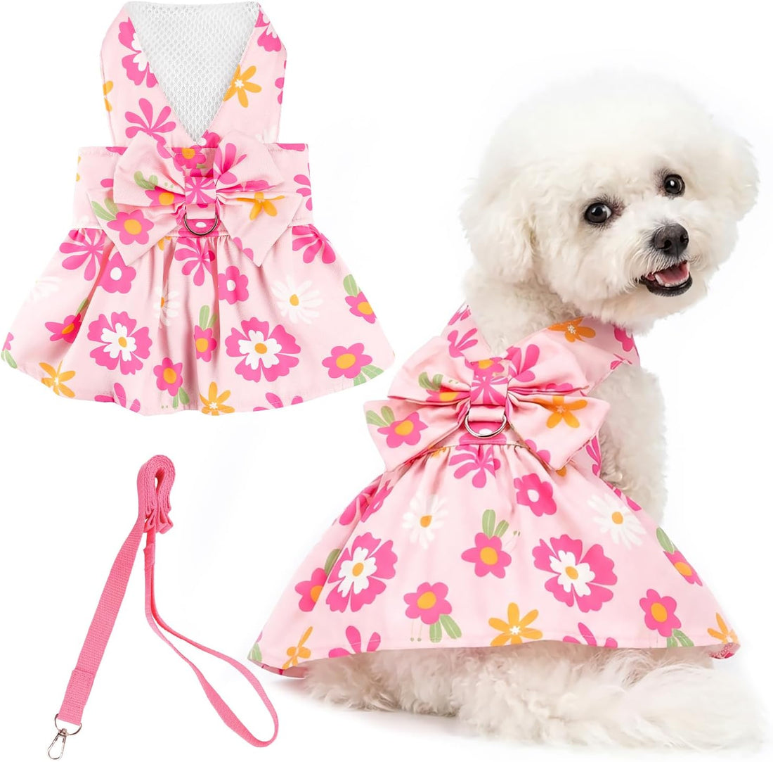 Dog Dress Harness Dresses Leash Set for Small Dogs Cute Girl Dog