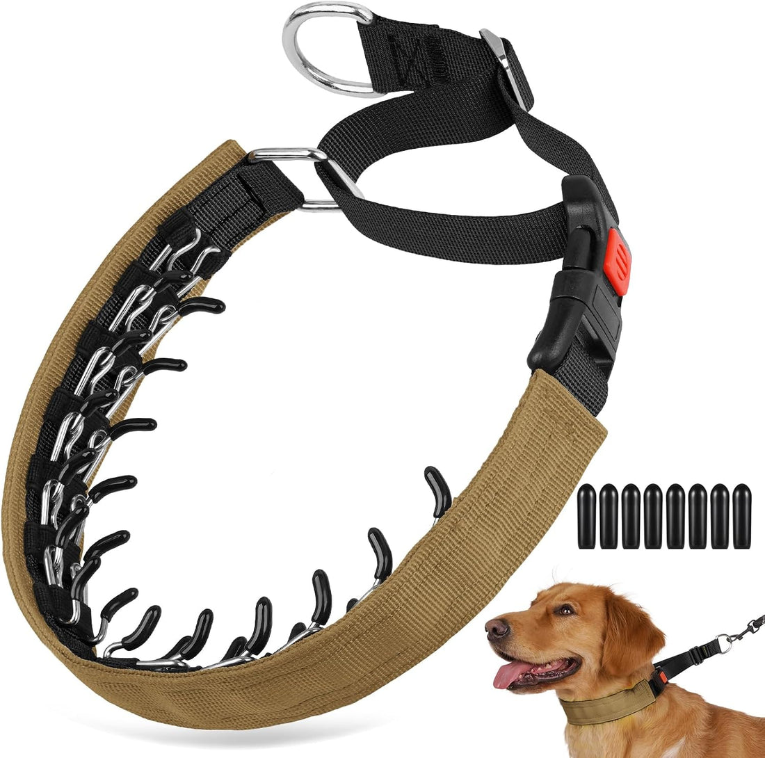 Crazy Felix No Pull Dog Collar, Hidden Martingale Training Collar