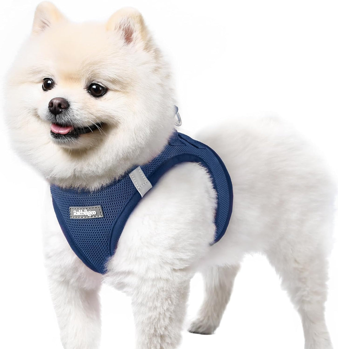 rabbitgoo Small Dog Harness, Step-in Soft Mesh Puppy Vest with Safety