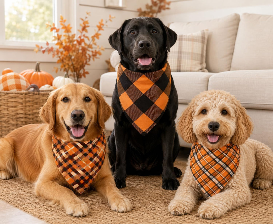 Halloween Dog Bandanas 3 Pack Large Fall Pet Scarf Orange Plaid