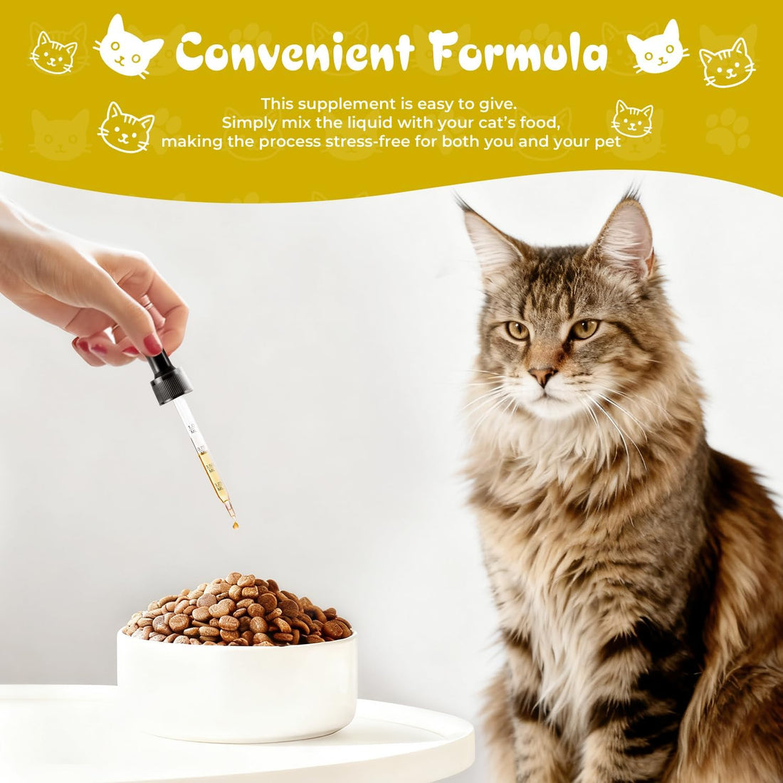 Mange Treatment Cats, Cat Mange & Itchy Skin Relief