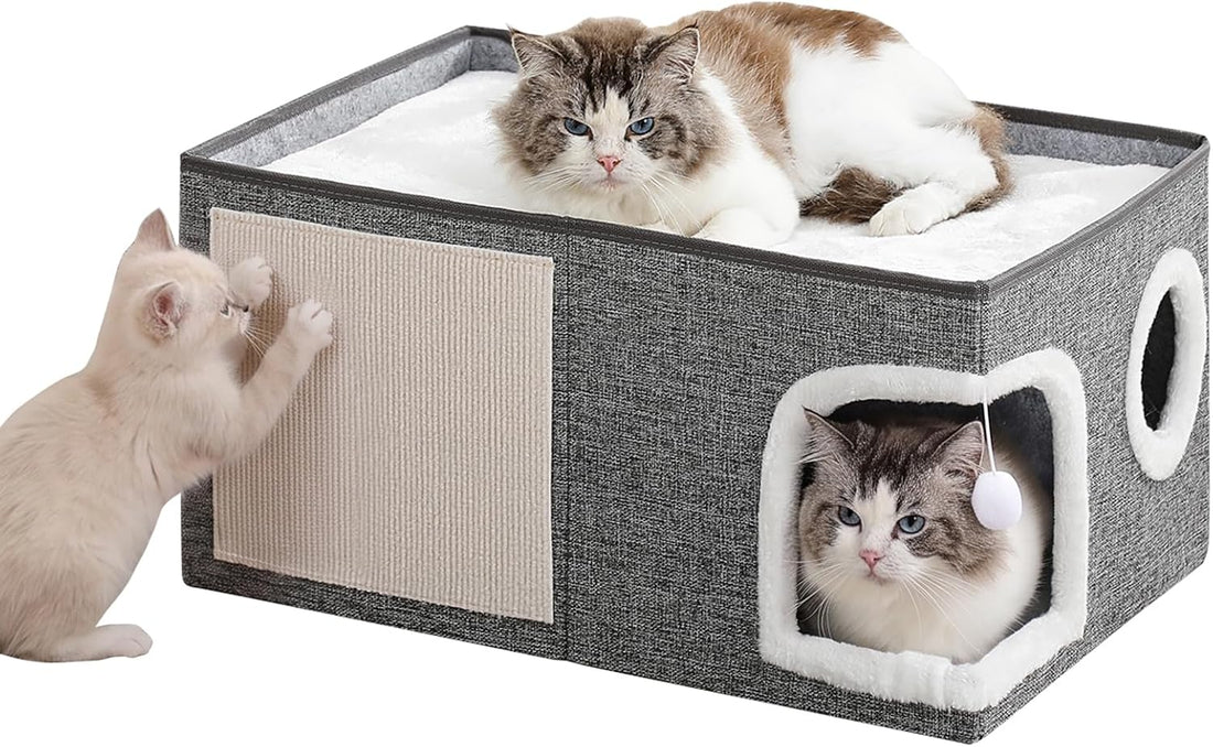 Cat Beds for Indoor Cats, Large Kitten Bed with Scratch Pad