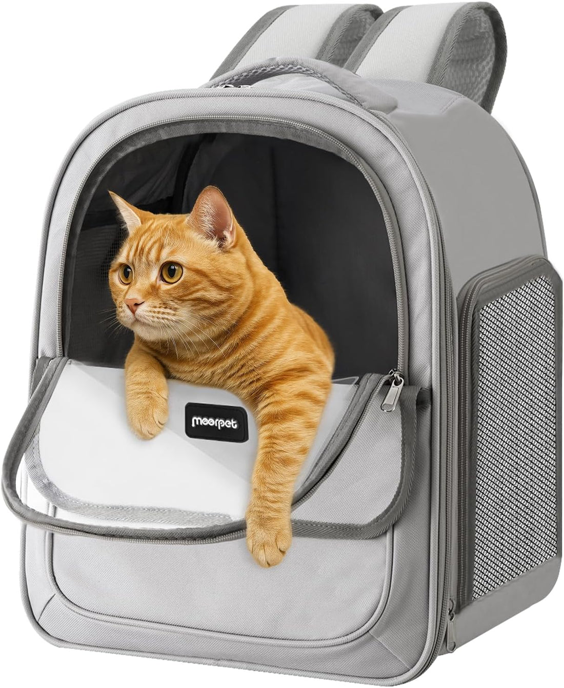 Cat Carrier Backpack Breathable Mesh Window for Small Cat Dog Under
