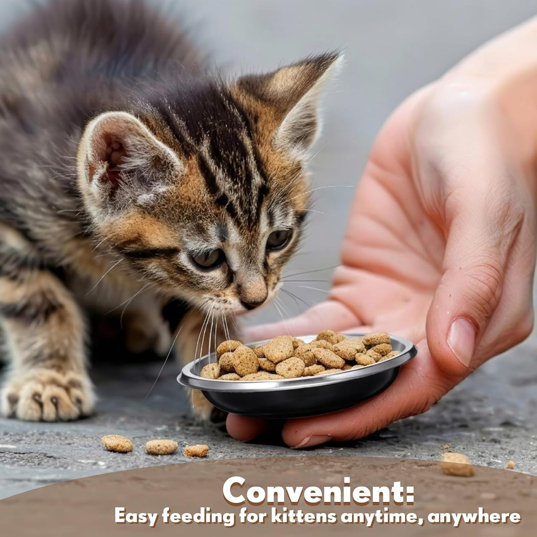Mini Pet Bowl - 500 Pcs Disposable Feeding Bowls Bulk