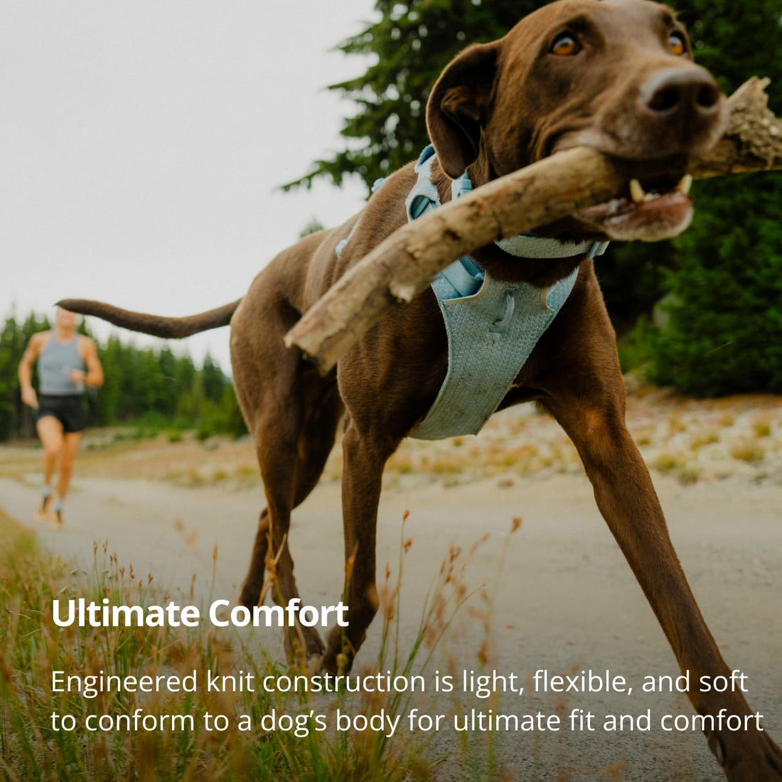 Ruffwear, Front Range Flex Dog Chest Harness