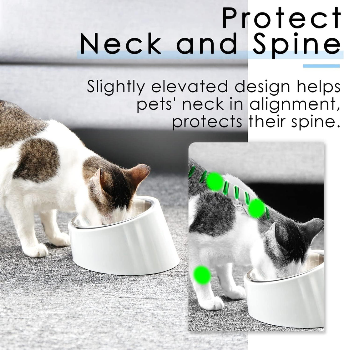 SuperDesign Mess Free 15° Slanted Bowl for Dogs and Cats
