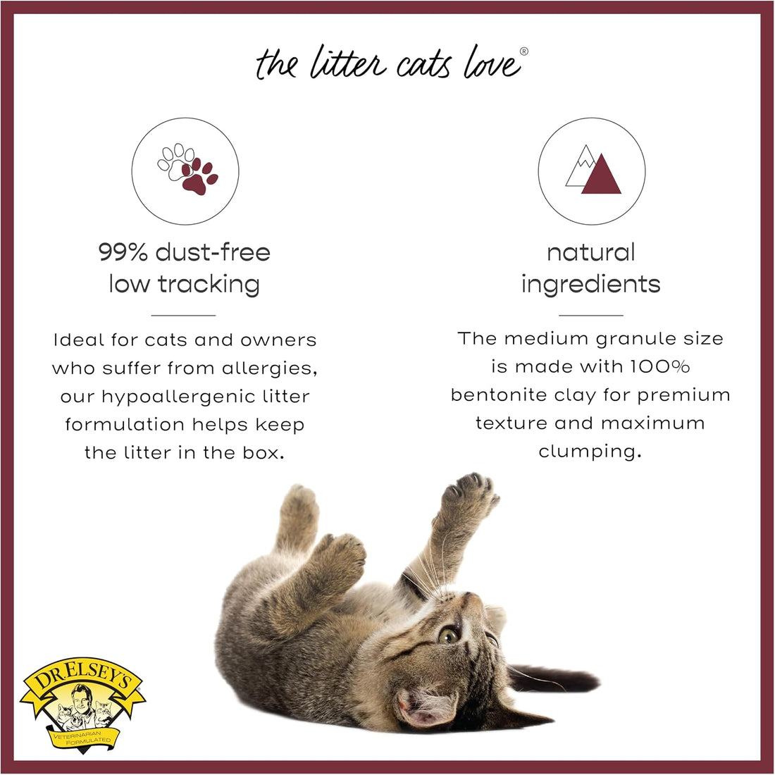 Precious Cat Classic Premium Clumping Cat Litter, 40 lb Bag