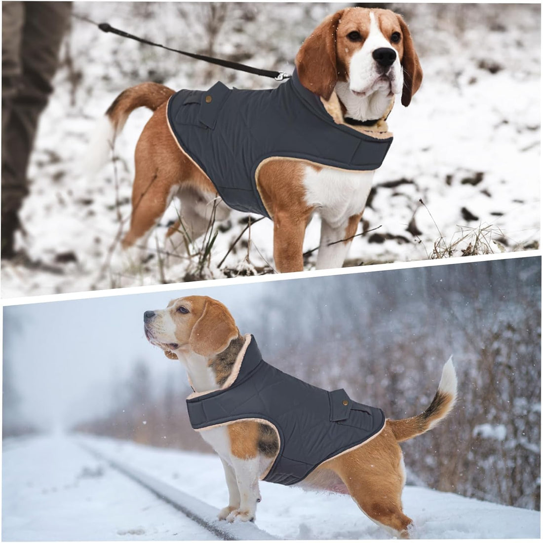 ASENKU Dog Winter Coat, Thick Plush Fleece Lining Dog Jacket