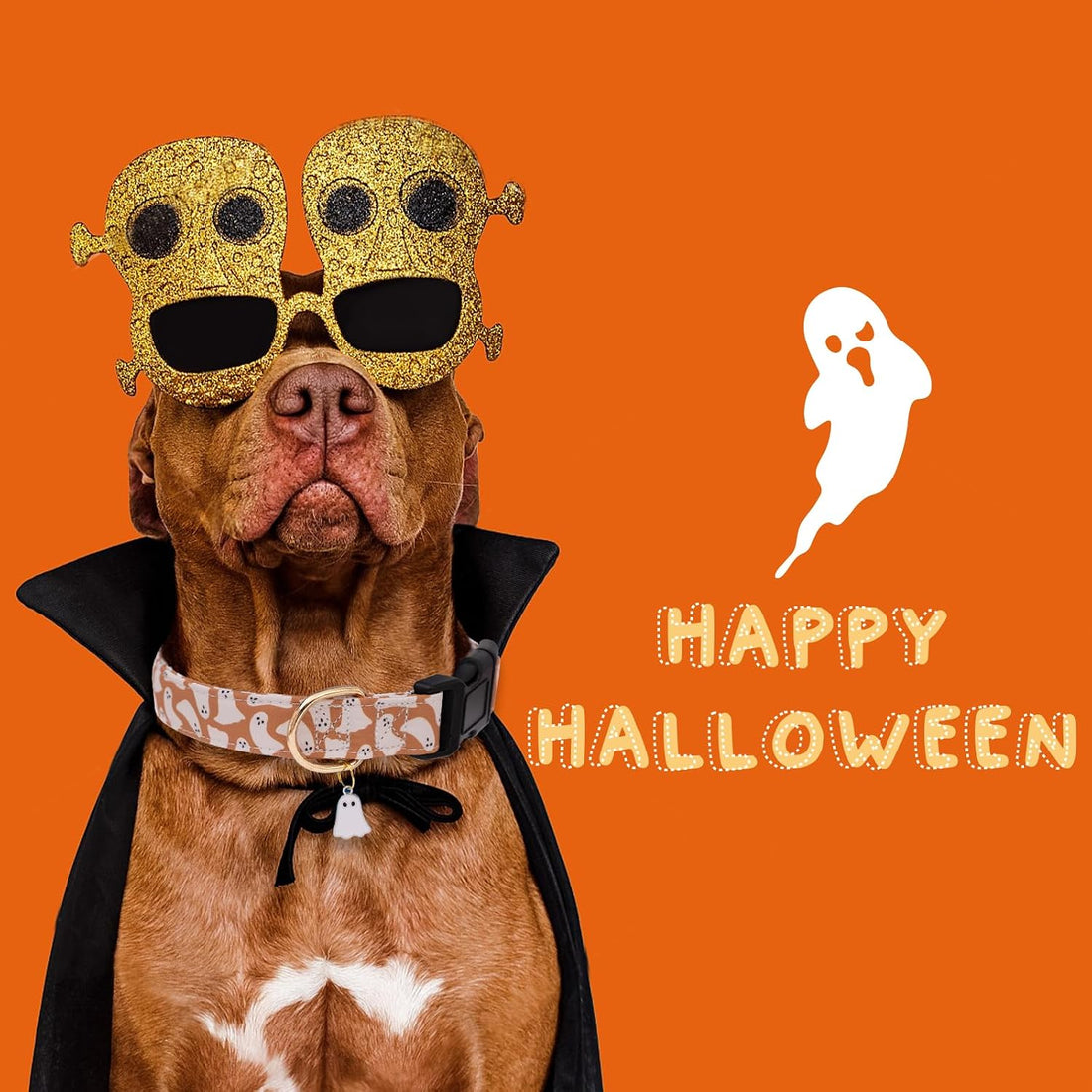 Faygarsle Orange Halloween Dog Collar Ghost Pattern Fall Collar