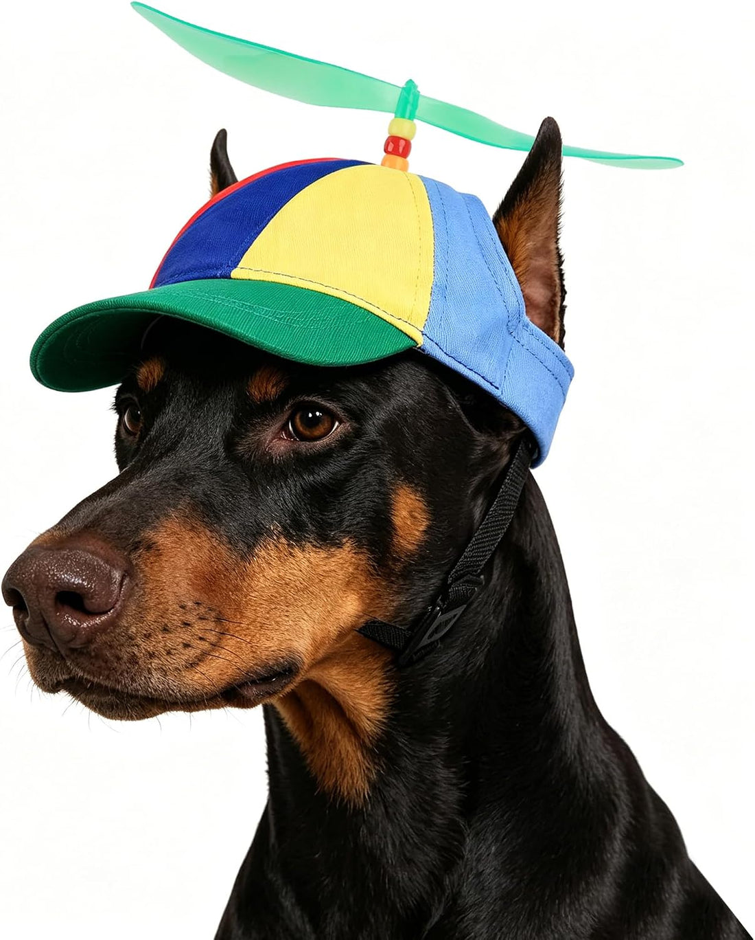 Propeller Baseball Cap for Big Dogs & Cats