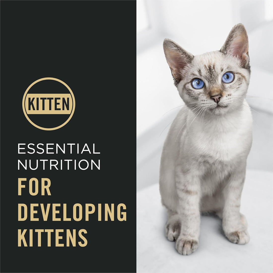 Purina Pro Plan Complete Essentials Kitten Food, Chicken & Rice