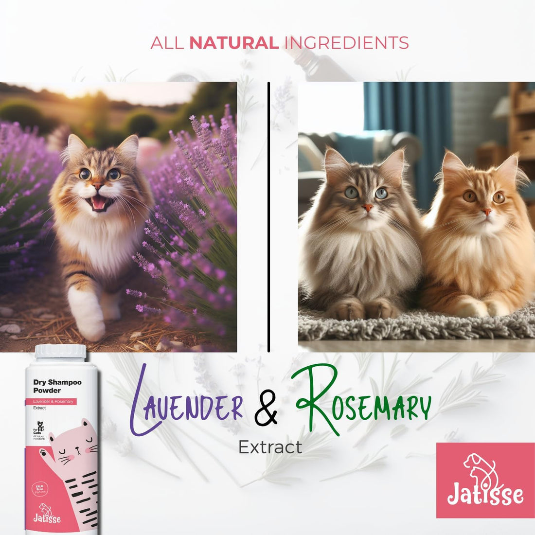 Cat Dry Shampoo Powder with Lavender and Rosemary for Cats 5.29 fl.