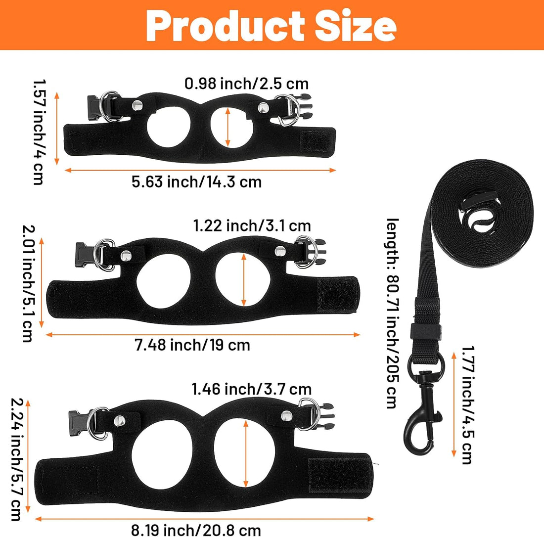 3 Pcs Bearded Dragon Leash Set, Black Bearded Dragon Harness Set