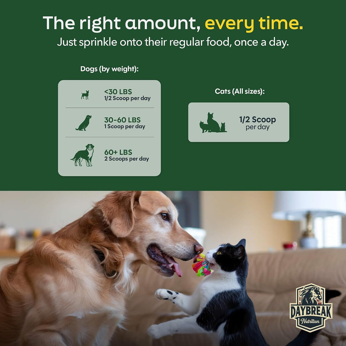Pure Green Lipped Mussel Powder for Dogs and Cats
