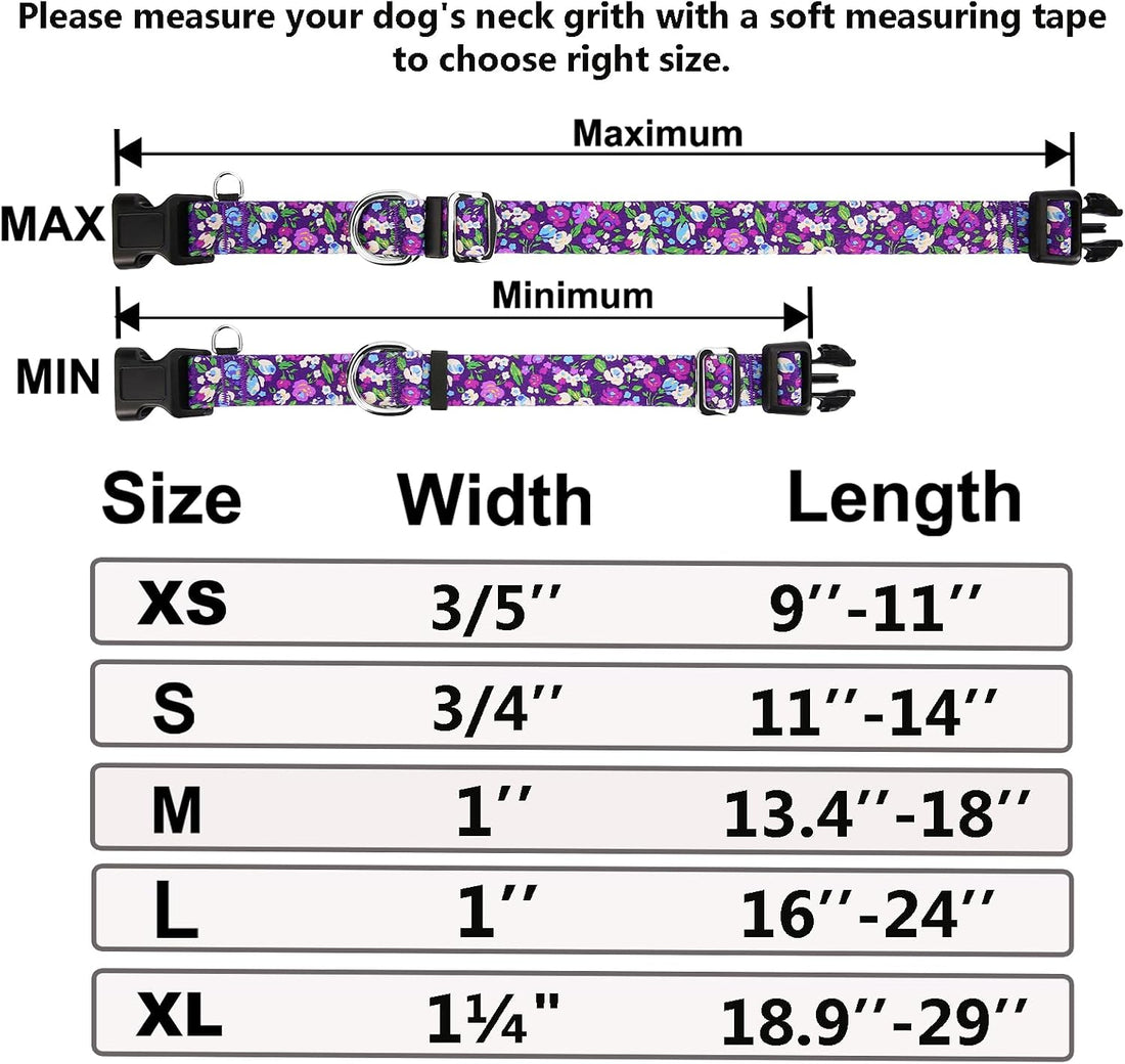 Martingale Collar for Dogs with Buckle Floral No Pull Training Dog