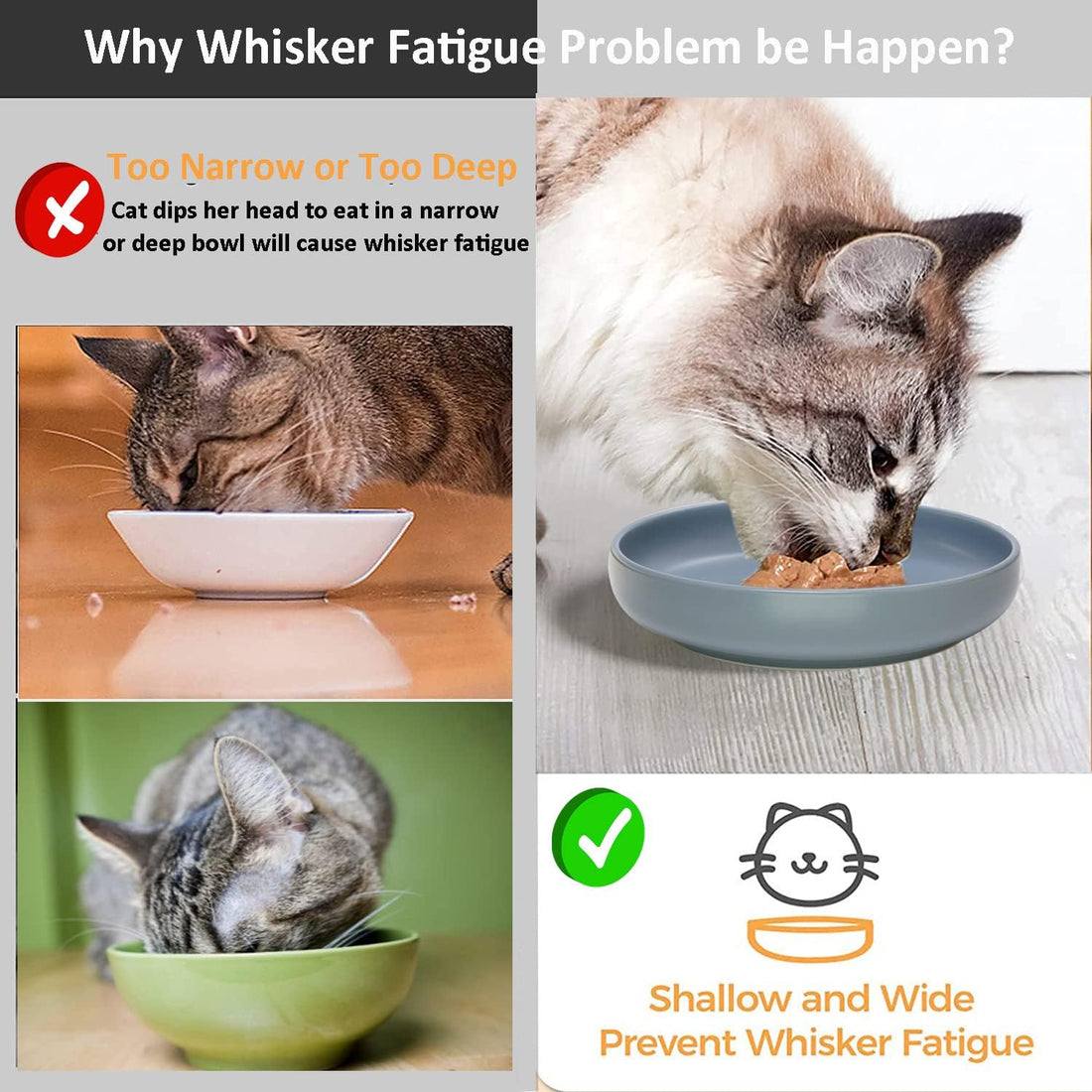 Ceramic Cat Bowls,Shallow Cat Dishes for Food and Water