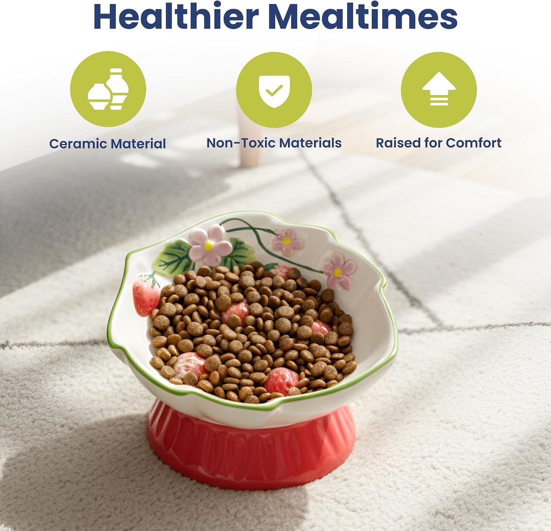 Elevated Cat Food Bowl with Strawberry Blooms by PawsPik