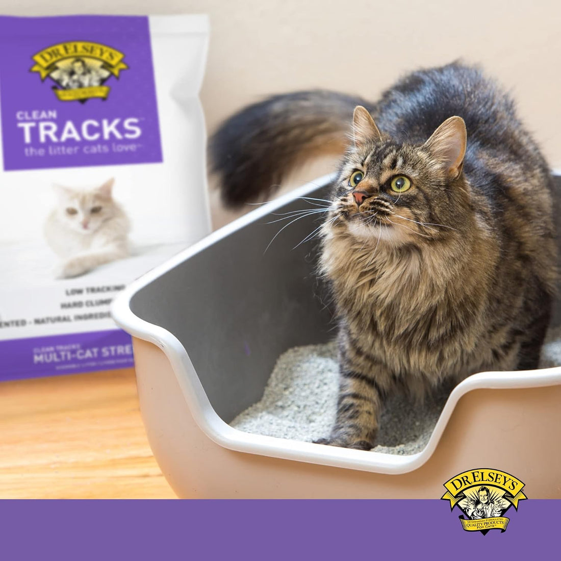 Dr. Elsey's® Clean Tracks Clumping Clay Cat Litter 40 lb. Bag