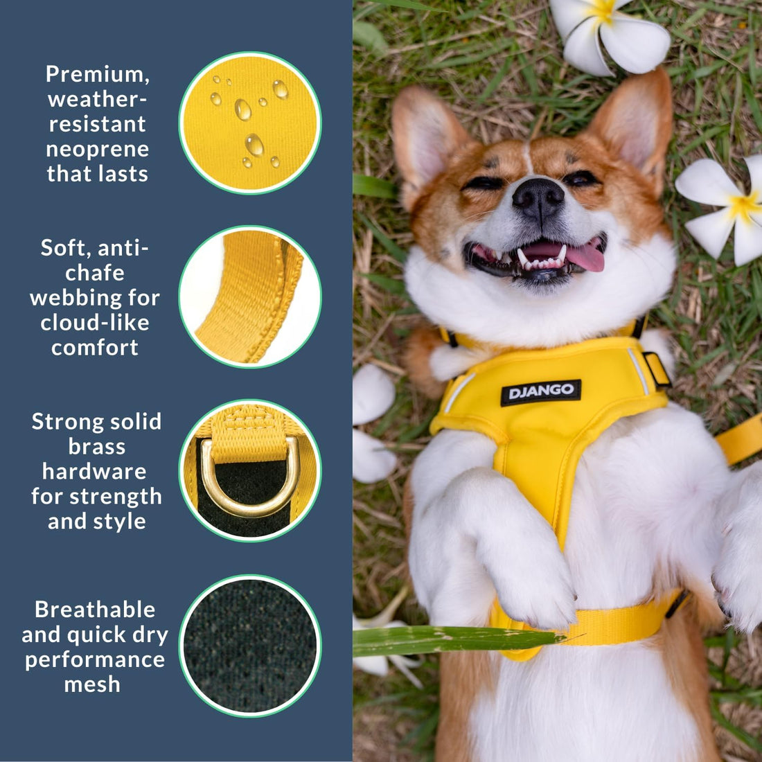 DJANGO Adventure Dog Harness