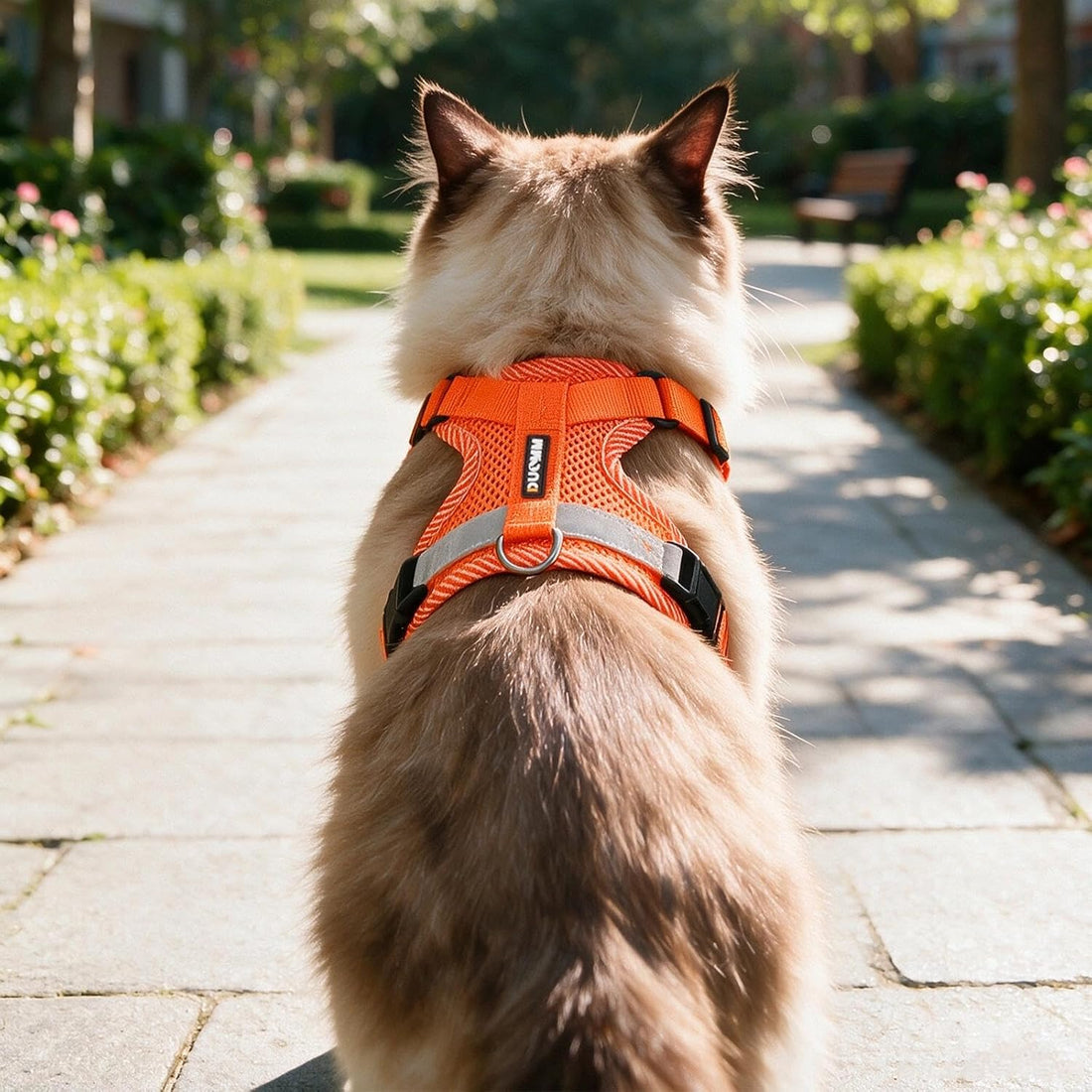 Large Cat Harness and Leash Set