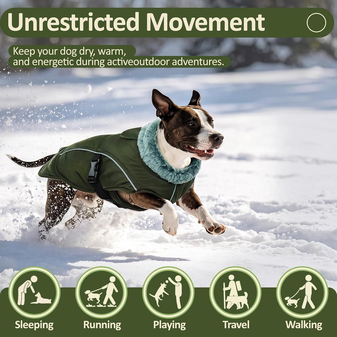 DENTRUN Warm Dog Winter Coat