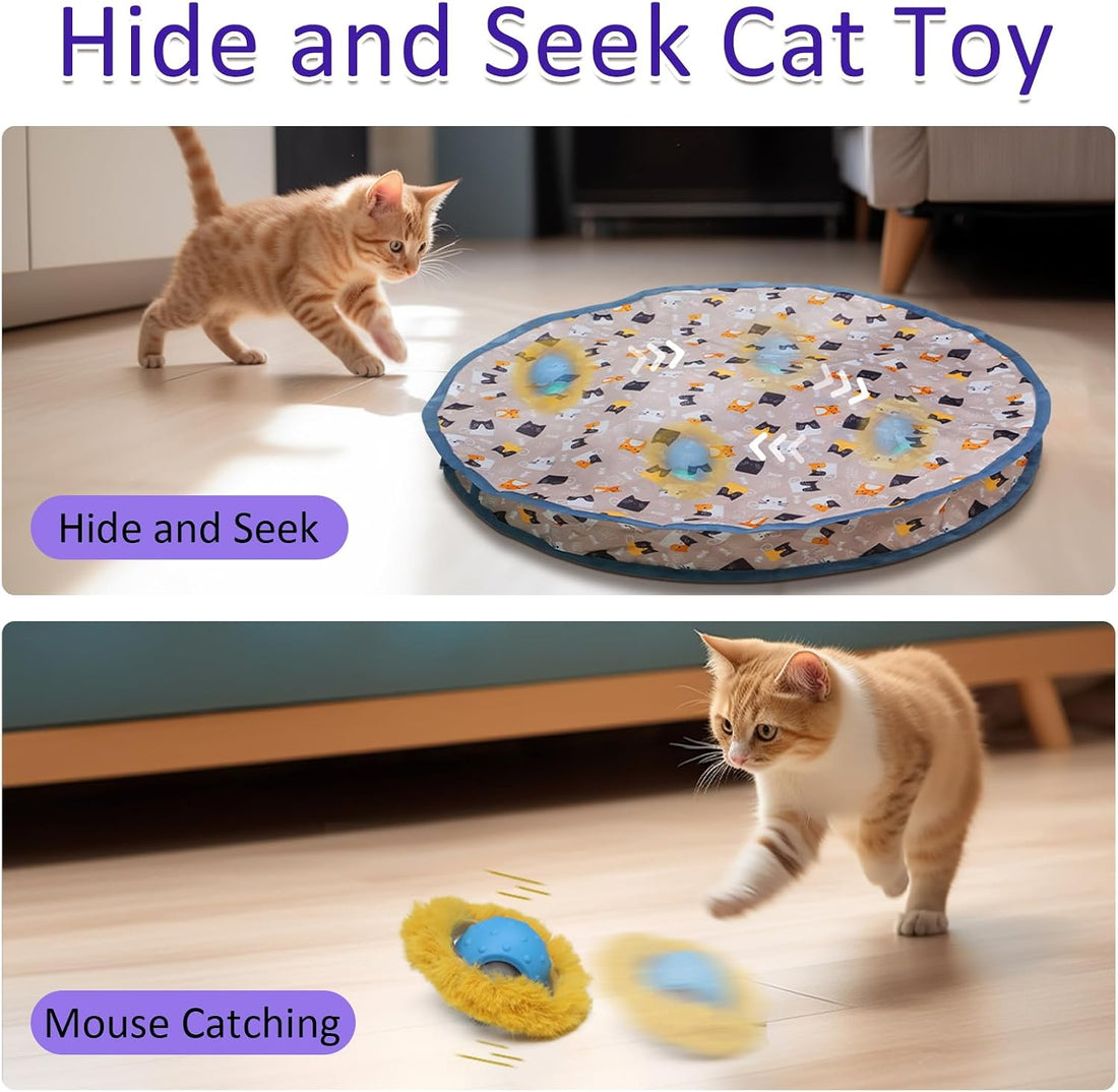 Giociv Interactive Cat Toys Ball Fast Rolling in Pouch