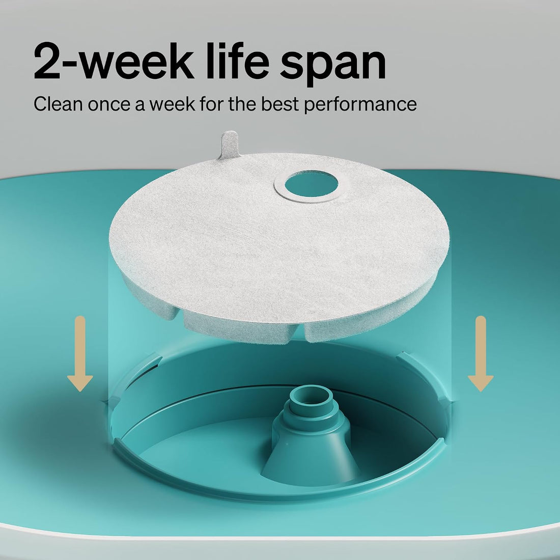 PETLIBRO Replacement Filters for Capsule Dog Fountain PLWF008